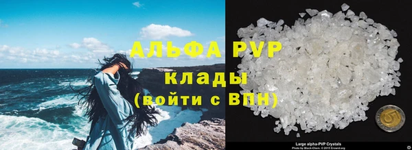стафф Бородино