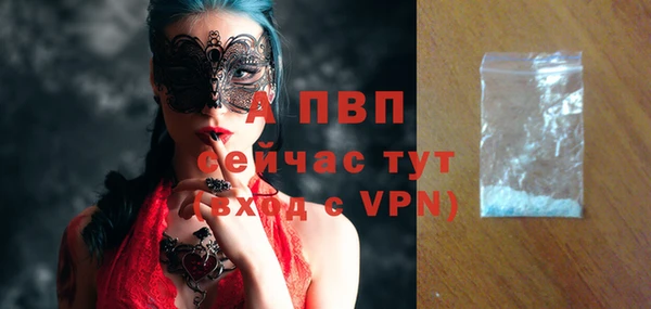 стафф Бородино