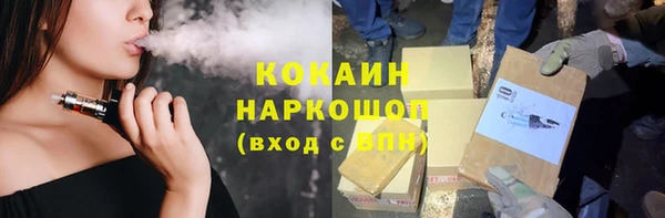 стафф Бородино