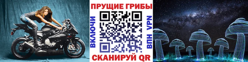 закладка  Миасс  Псилоцибиновые грибы мицелий 